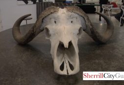 Bradley Atlanta Buckhead