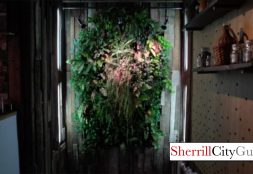 The Alchemist's Kitchen