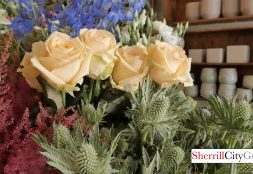 Roots, Fruits and Flowers Glasgow, Scotland