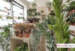 Tuck Glasgow, Scotland